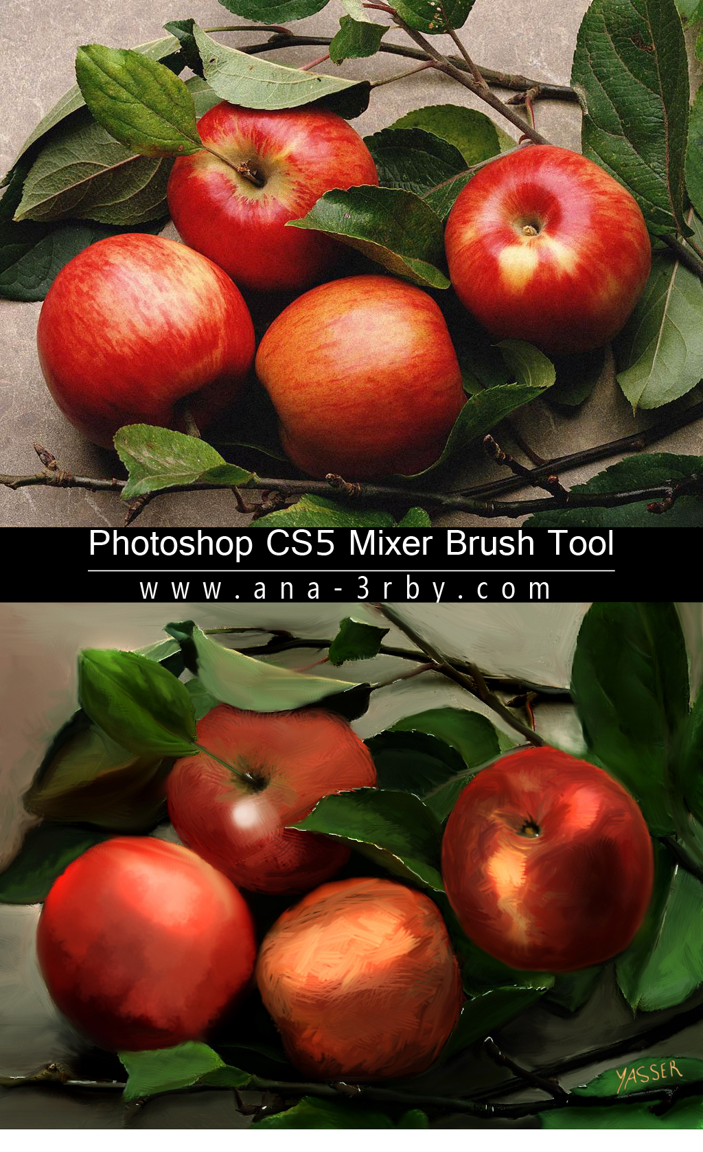 appels paint ما الجديد فى فوتوشوب photoshop cs5 الجزء الثانى